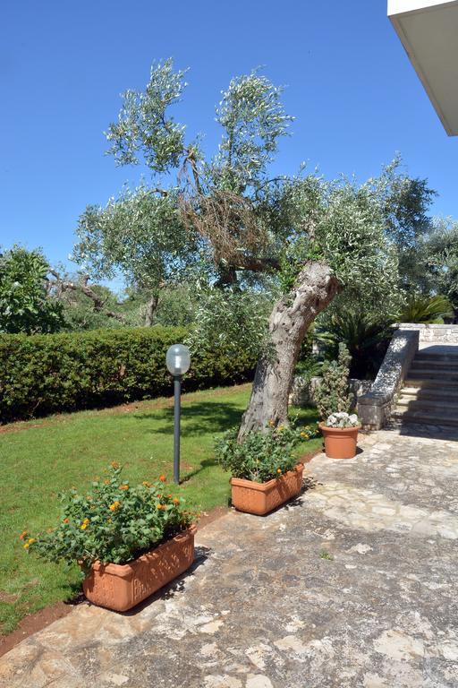 B&B Villa Ernestina 卡斯特拉纳格罗泰 外观 照片